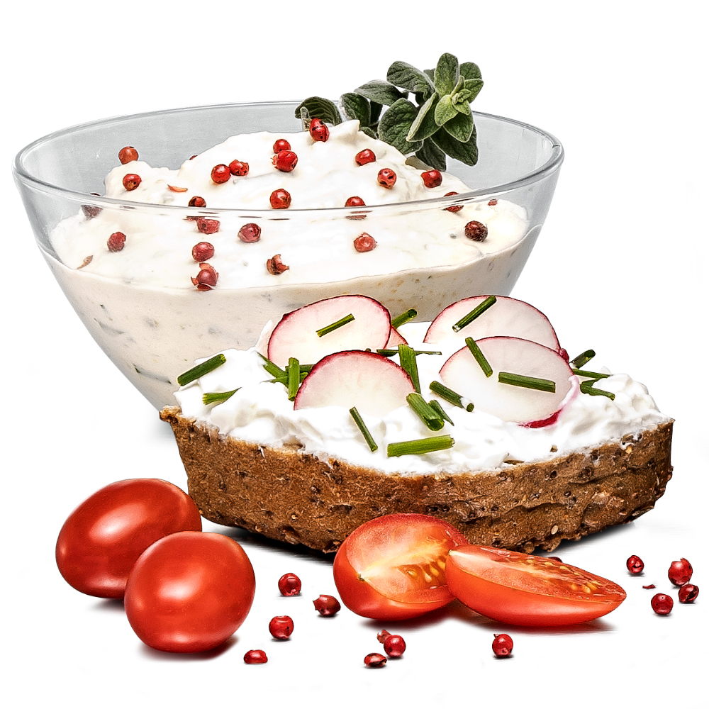 JOGHURT- UND FRISCHKÄSEBEREITER JG 80 Jona
