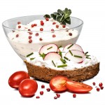 Joghurt- und Frischkäsebereiter JG 80