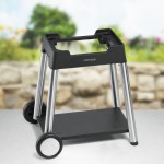 Grillwagen BGW 100