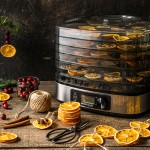 DA-350-ROMMELSBACHER-Doerrautomat-Dehydrator