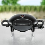 Barbecue Grill BBQ 4000