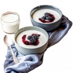 Joghurt- und Frischkäsebereiter JG 80