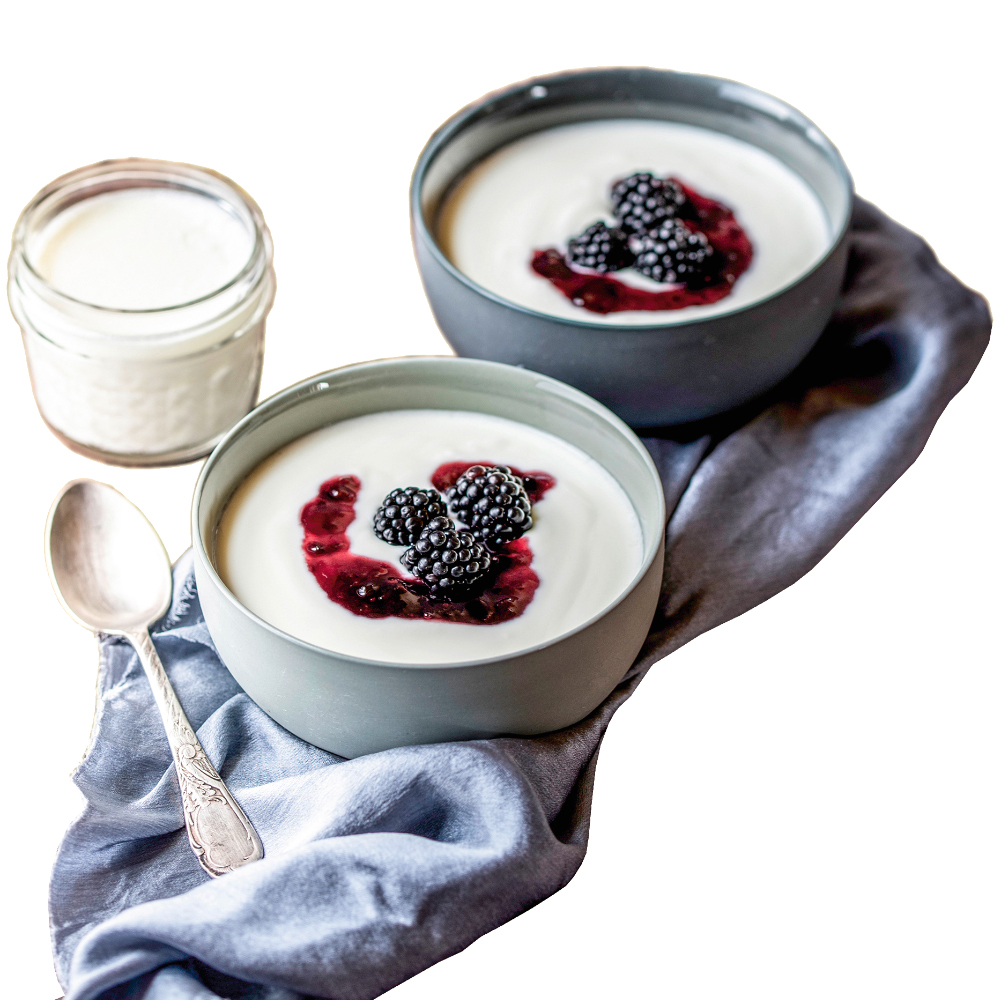 JOGHURT- UND FRISCHKÄSEBEREITER JG 80 Jona